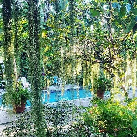 Orchid Cottage Кингстон Экстерьер фото