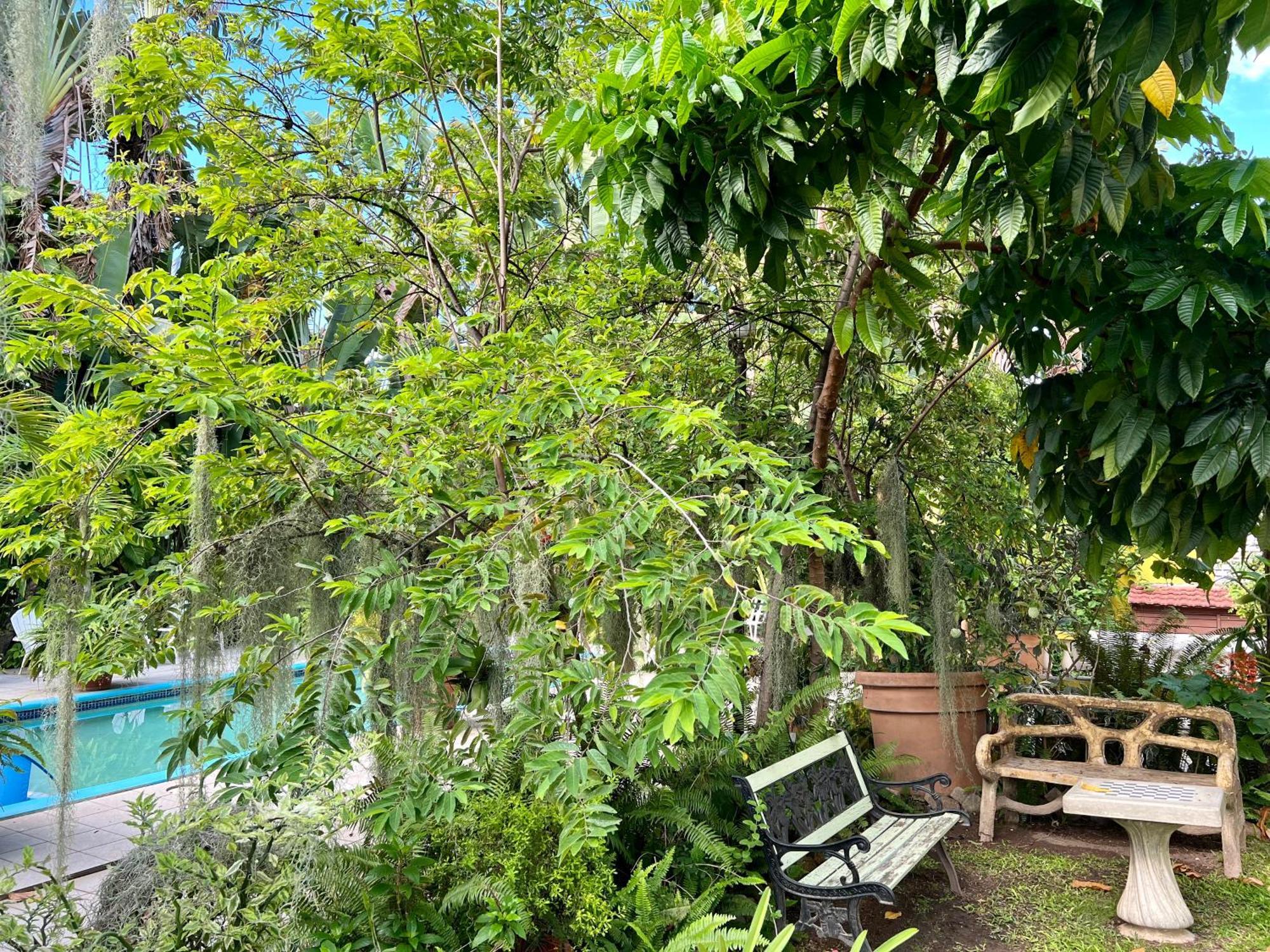 Orchid Cottage Кингстон Экстерьер фото