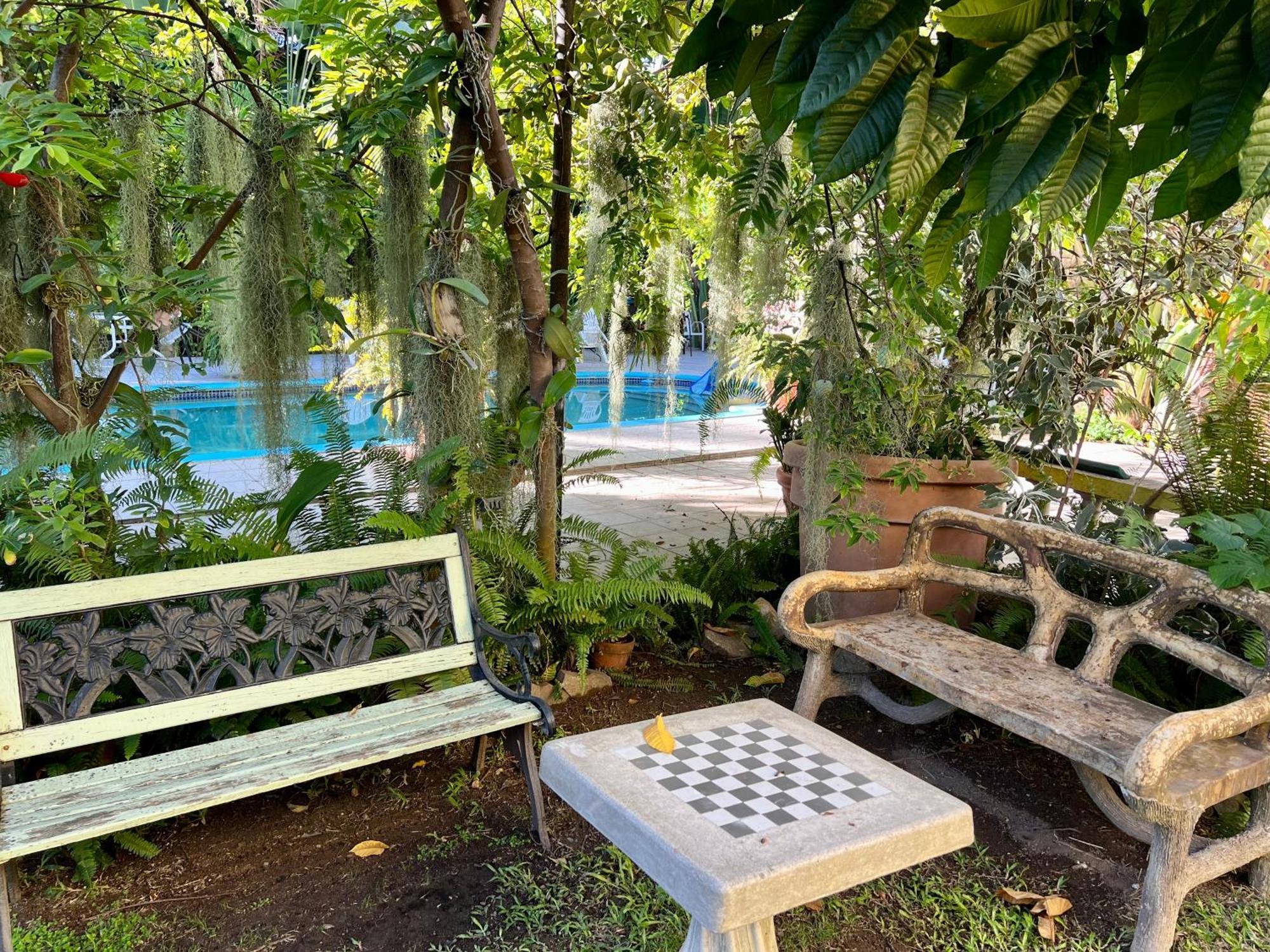 Orchid Cottage Кингстон Экстерьер фото