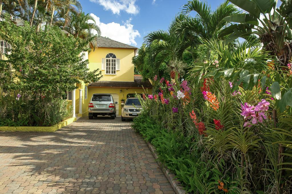 Orchid Cottage Кингстон Экстерьер фото