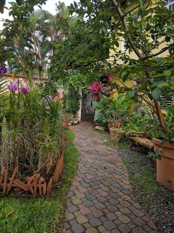Orchid Cottage Кингстон Экстерьер фото
