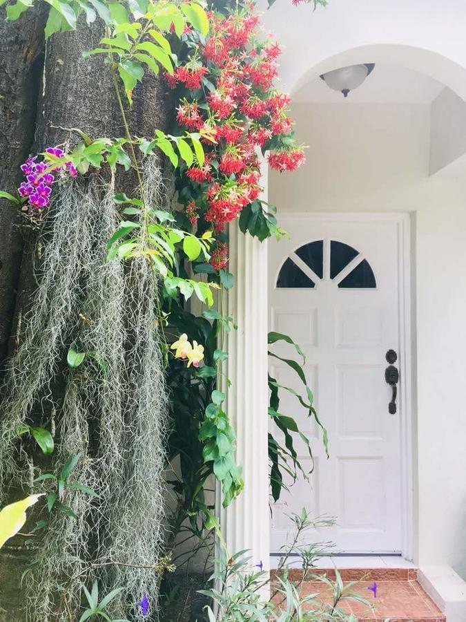 Orchid Cottage Кингстон Экстерьер фото