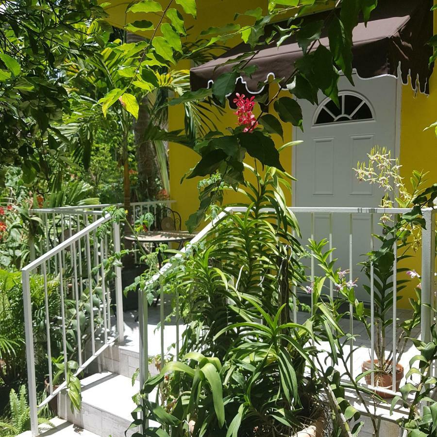 Orchid Cottage Кингстон Экстерьер фото